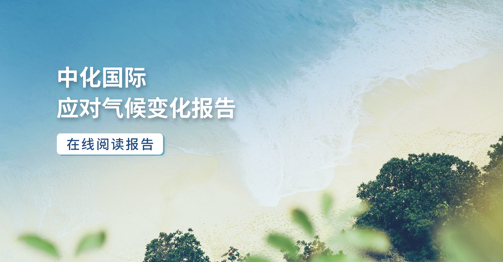 精细化学 绿色生活